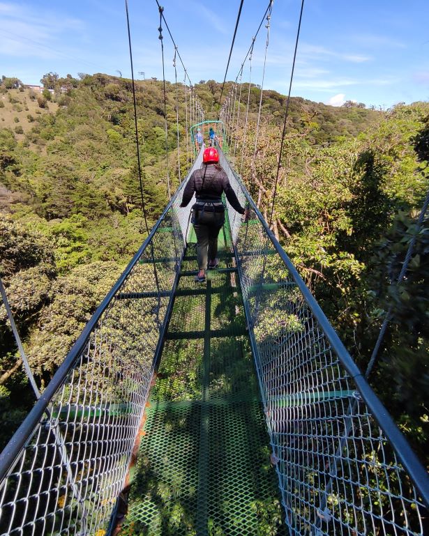 puente colgante en monteverde antes de tirolina