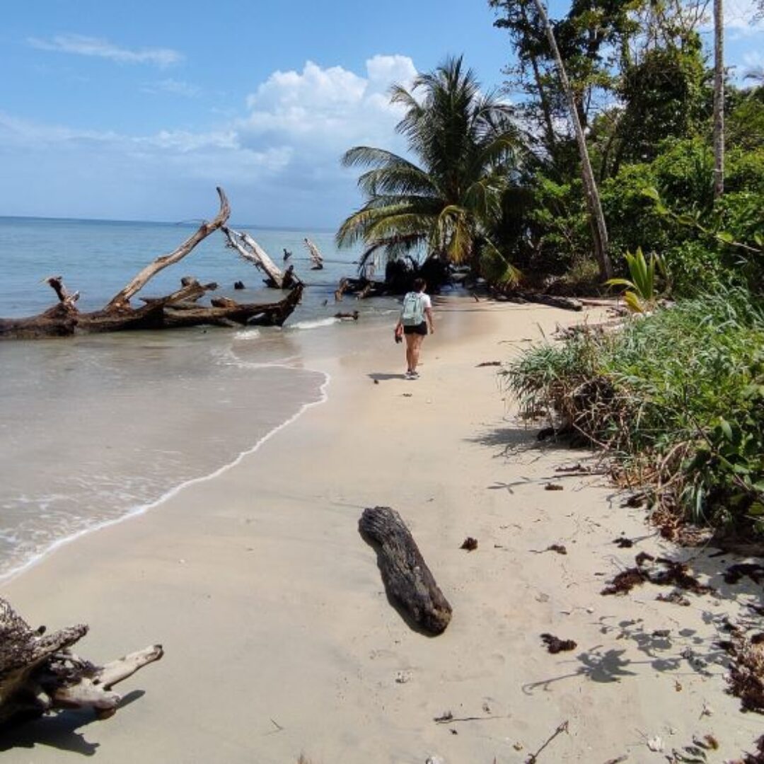 Cómo visitar el Parque Nacional de Cahuita: guía completa