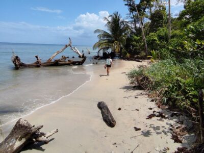 Cómo visitar el Parque Nacional de Cahuita: guía completa