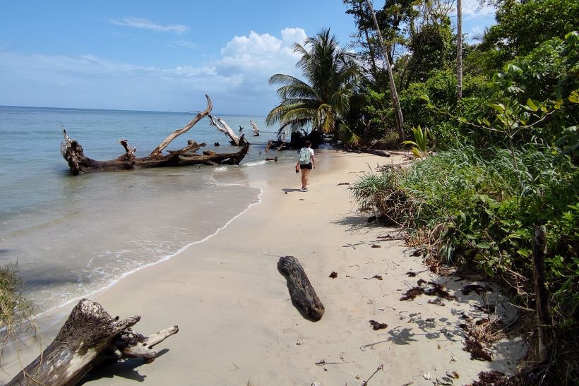 Playa en Cahuita costa rica