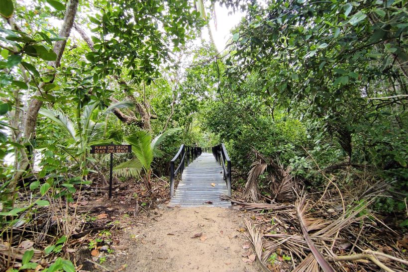 Senderos en el Parque Nacional de Cahuita sendero en cahuita costarrica con un puente elevado