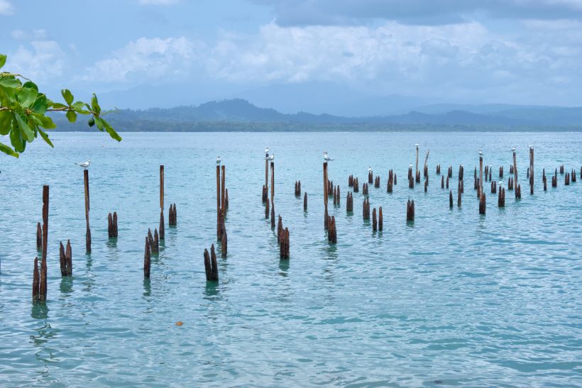 zona de snorkel en cahuita, costa rica