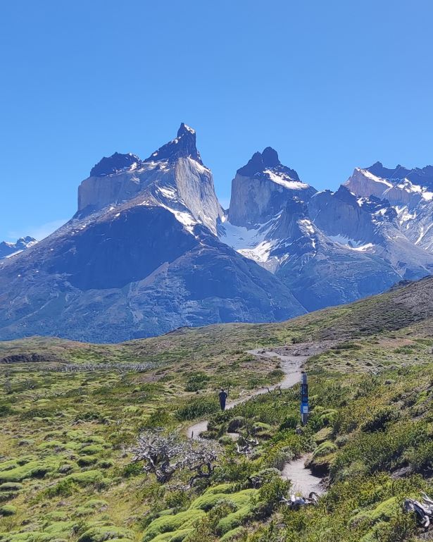 Los cuernos del Paine asoman al final de un camino
