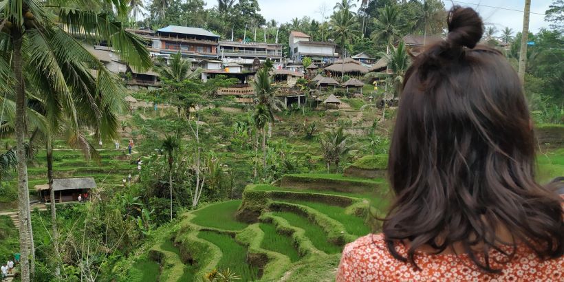 Vista de Arrozales de Tegallalang, Bali, Indonesia
