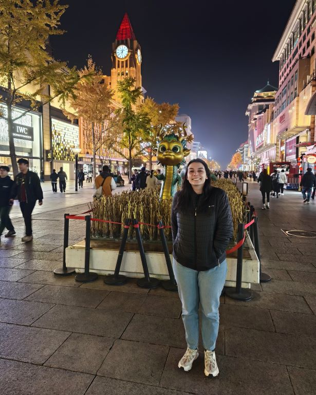 Wangfujing street, Pekín, China