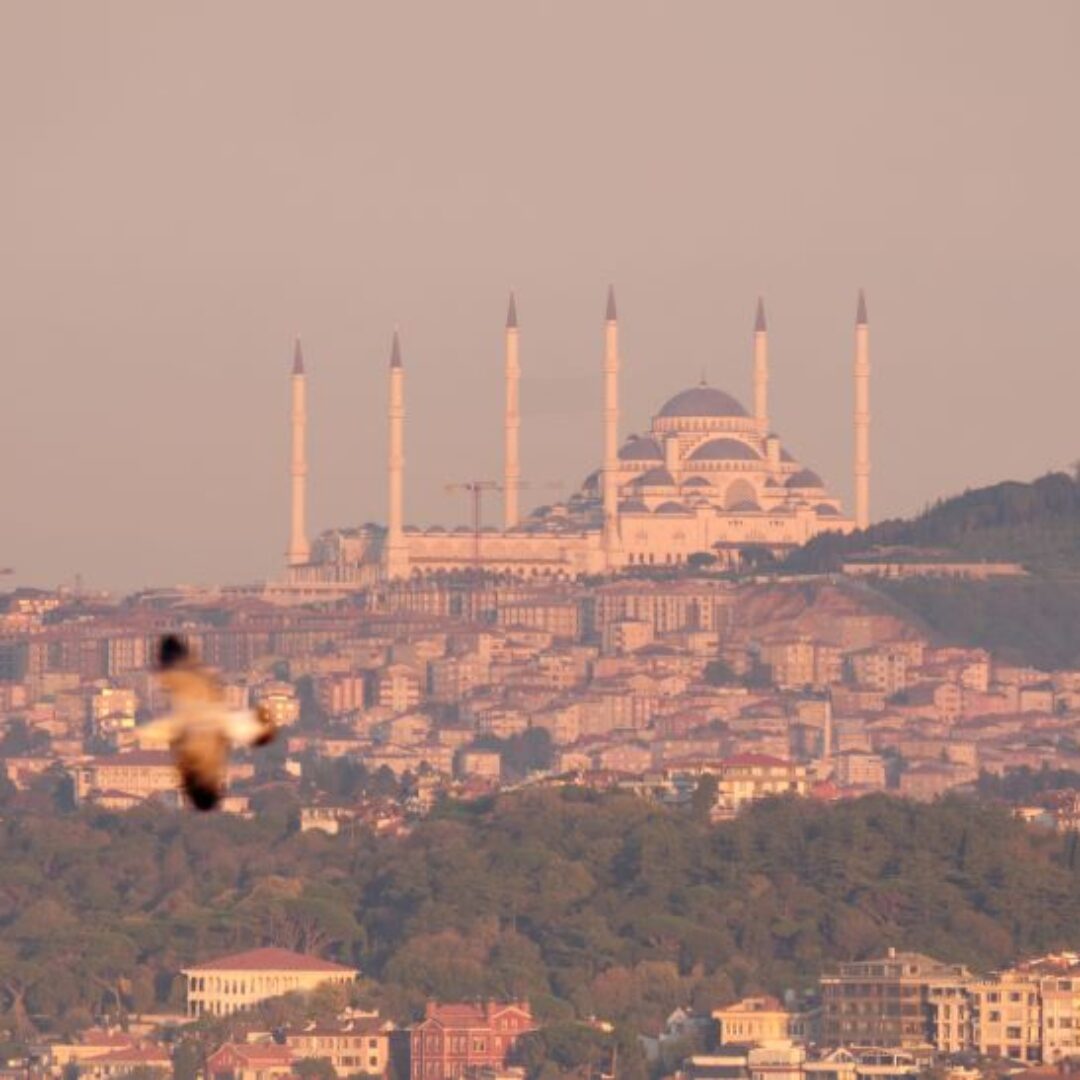 Dónde alojarse en Estambul: mejores zonas y hoteles