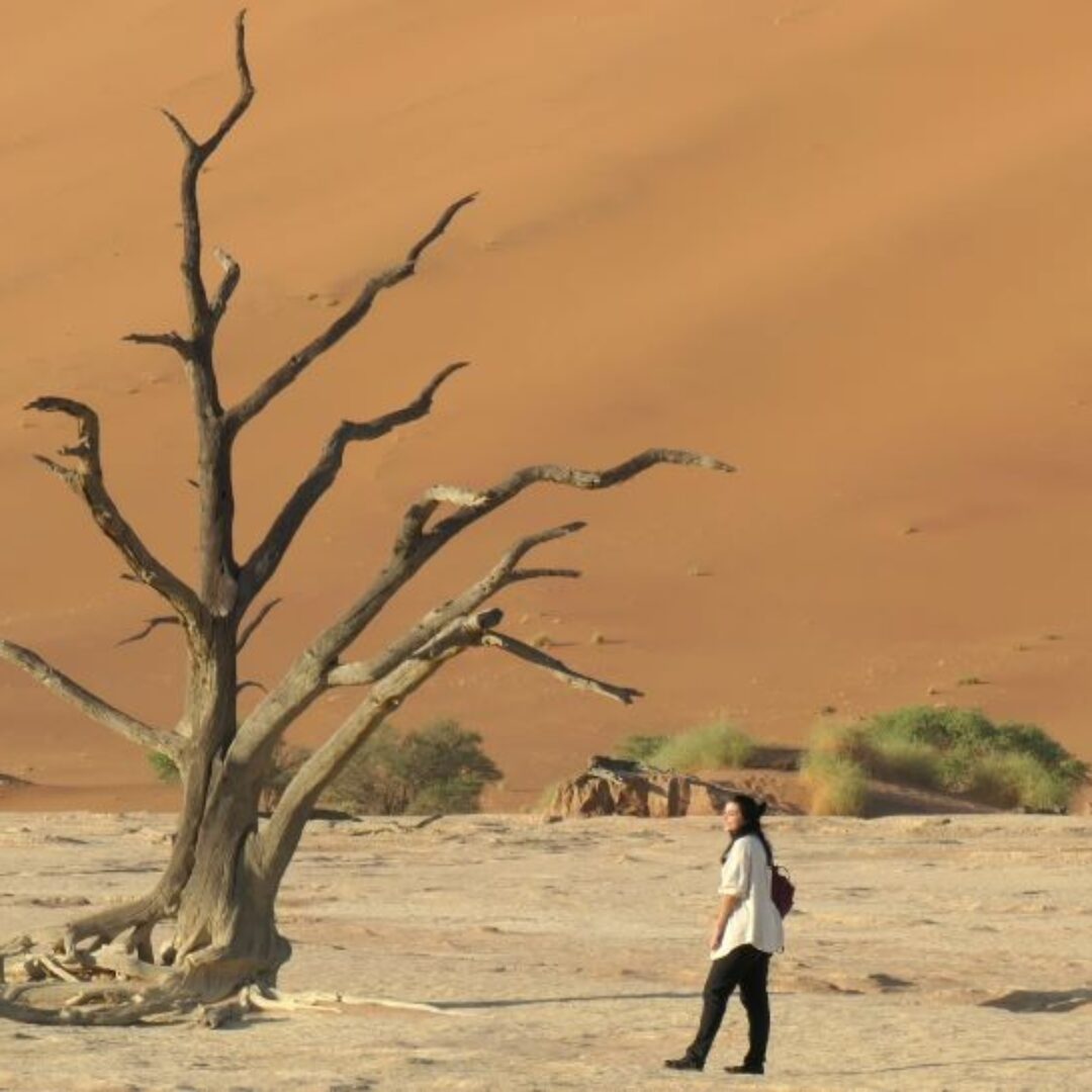 Cómo visitar Sossusvlei y Deadvlei: el desierto de Namibia