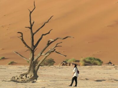 Cómo visitar Sossusvlei y Deadvlei: el desierto de Namibia