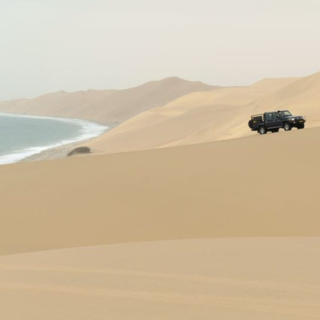 Cómo visitar Sandwich Harbour: desierto y mar en Namibia
