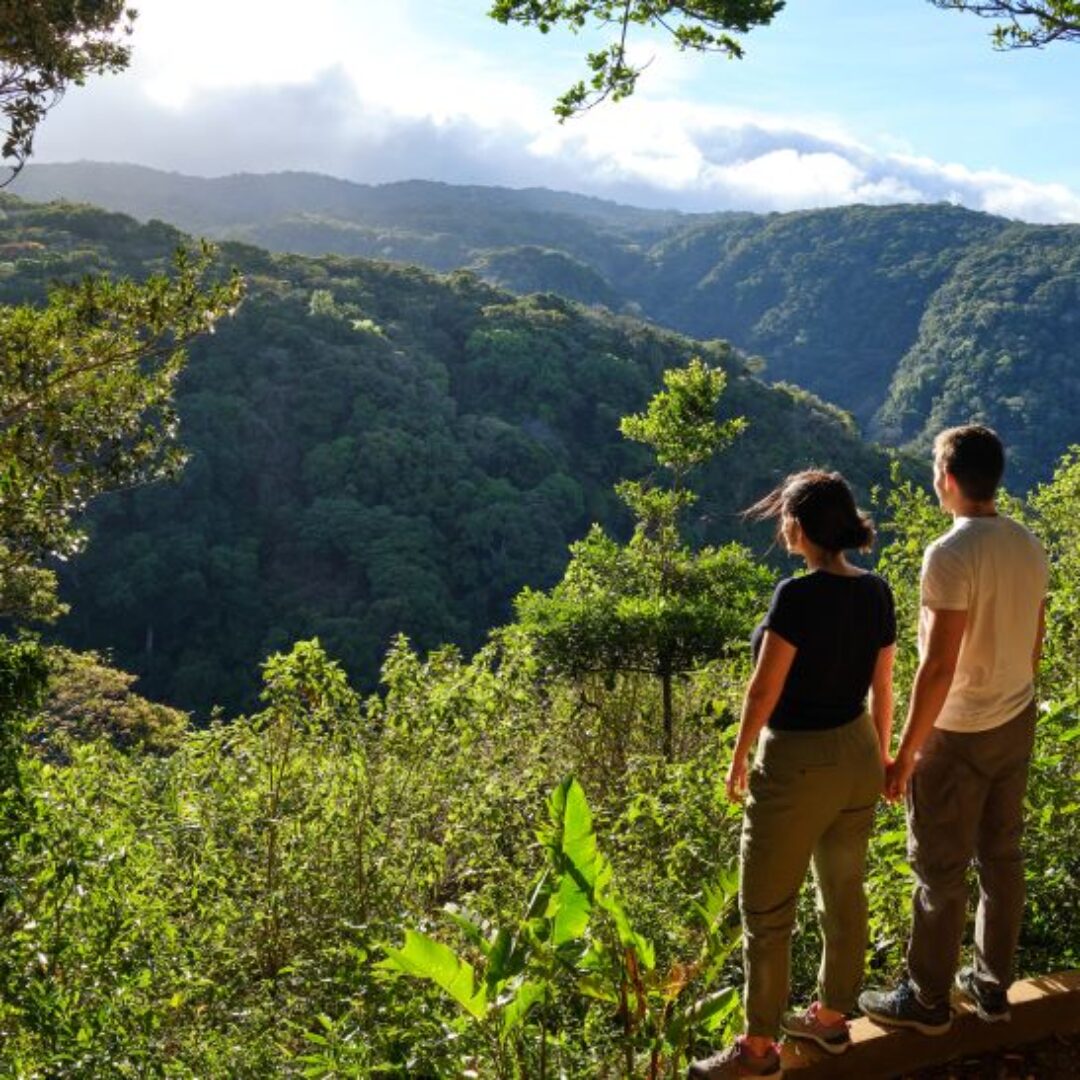 Qué hacer en Monteverde y Santa Elena: guía completa