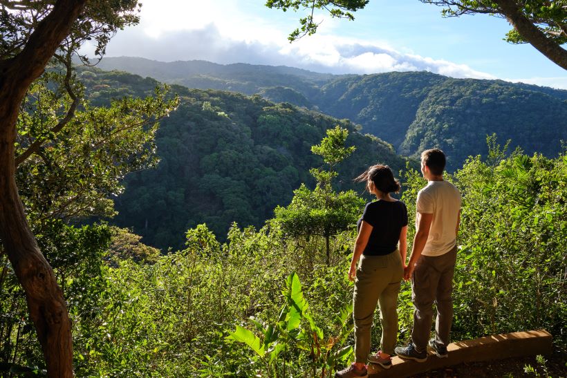 Vistas al Bosque Nuboso desde uno de sus miradores Vistas del bosque nuboso de monteverde