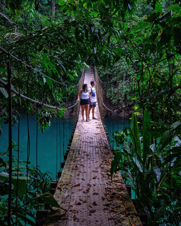 puente colgante en bahia drake, costa rica