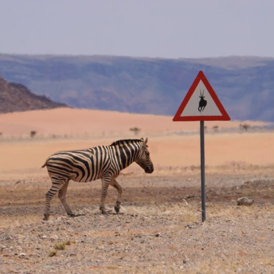 Qué ver en Namibia en 10 días: ruta recomendada y mapa
