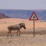Qué ver en Namibia en 10 días: ruta recomendada y mapa
