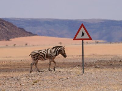 Qué ver en Namibia en 10 días: ruta recomendada y mapa