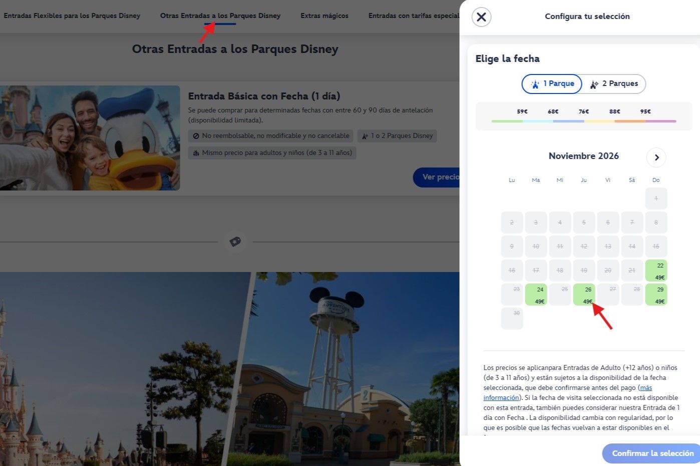 Pantallazo de una entrada económica para Disneyland París