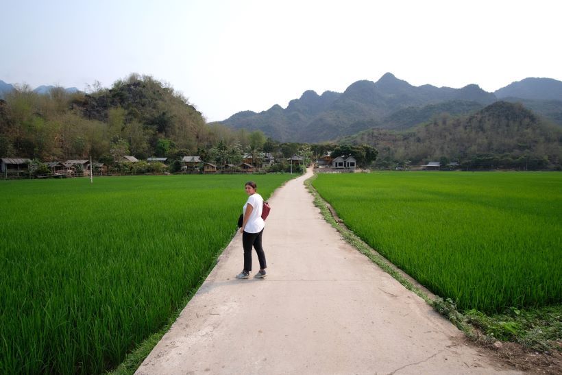 Campos de arroz en Mai Chau, al norte de Vietnam, alrededor de una carretera que fuga hacia las casas étnicas